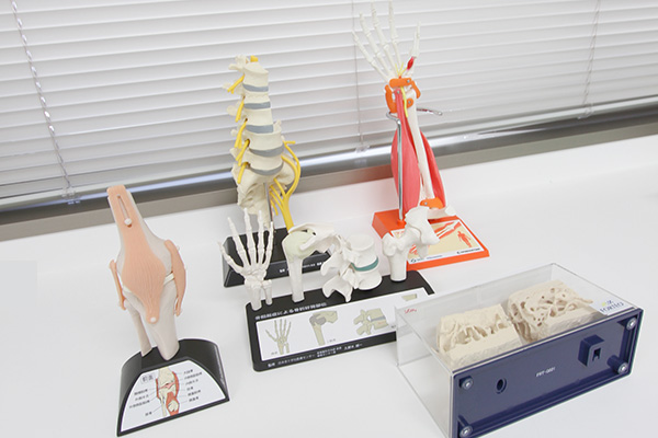 説明用模型イメージ